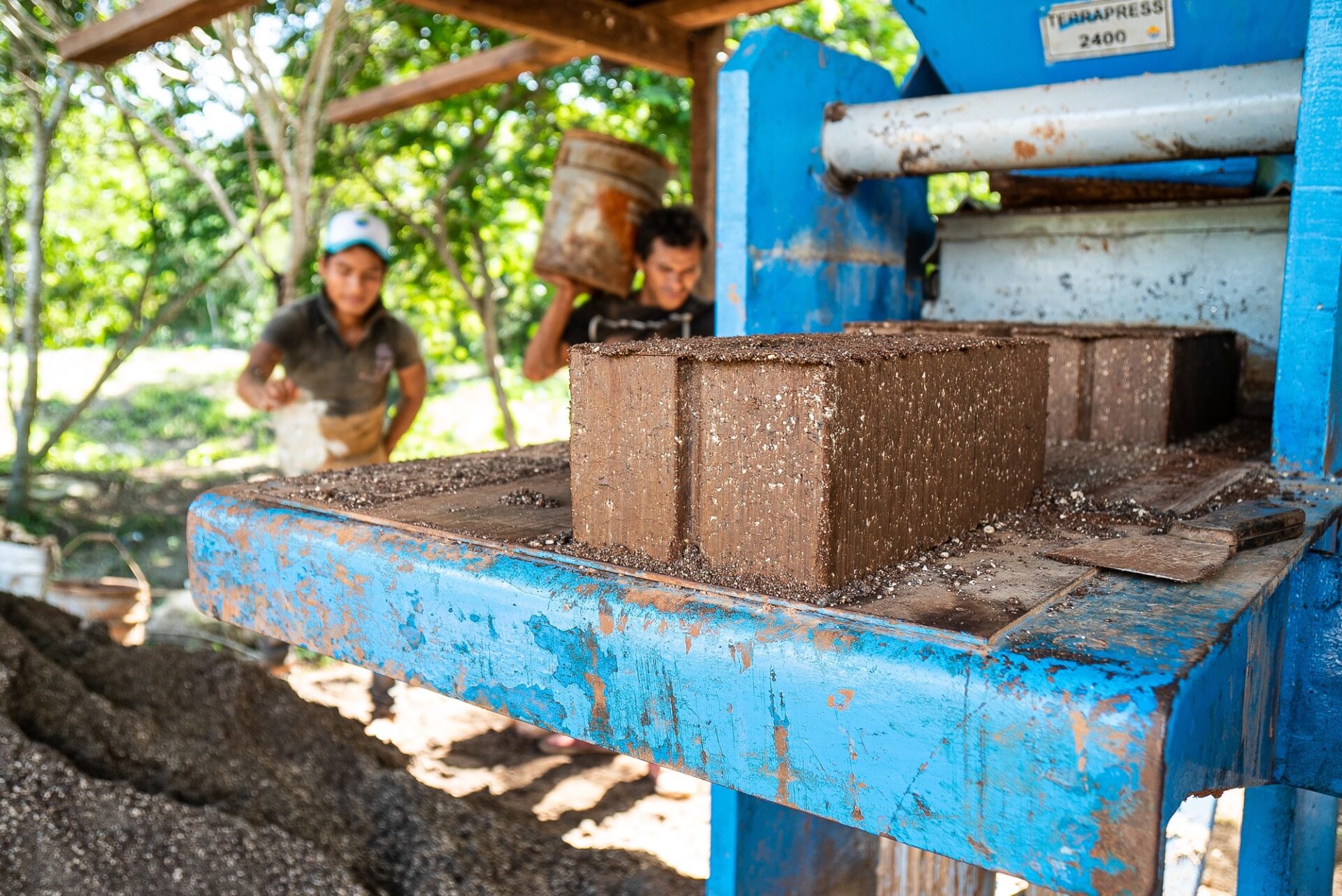 SEA CHANGE How local innovation in the Riviera Maya is turning an invasion into an industry