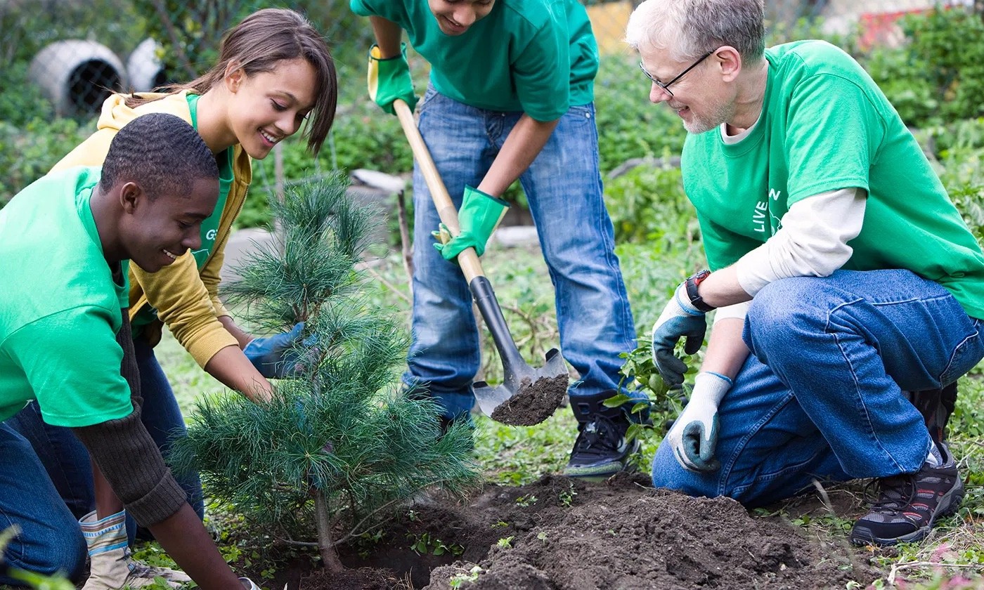 Draxler urban forestry, Photo by Jose Luis Pelaez Inc / Getty images