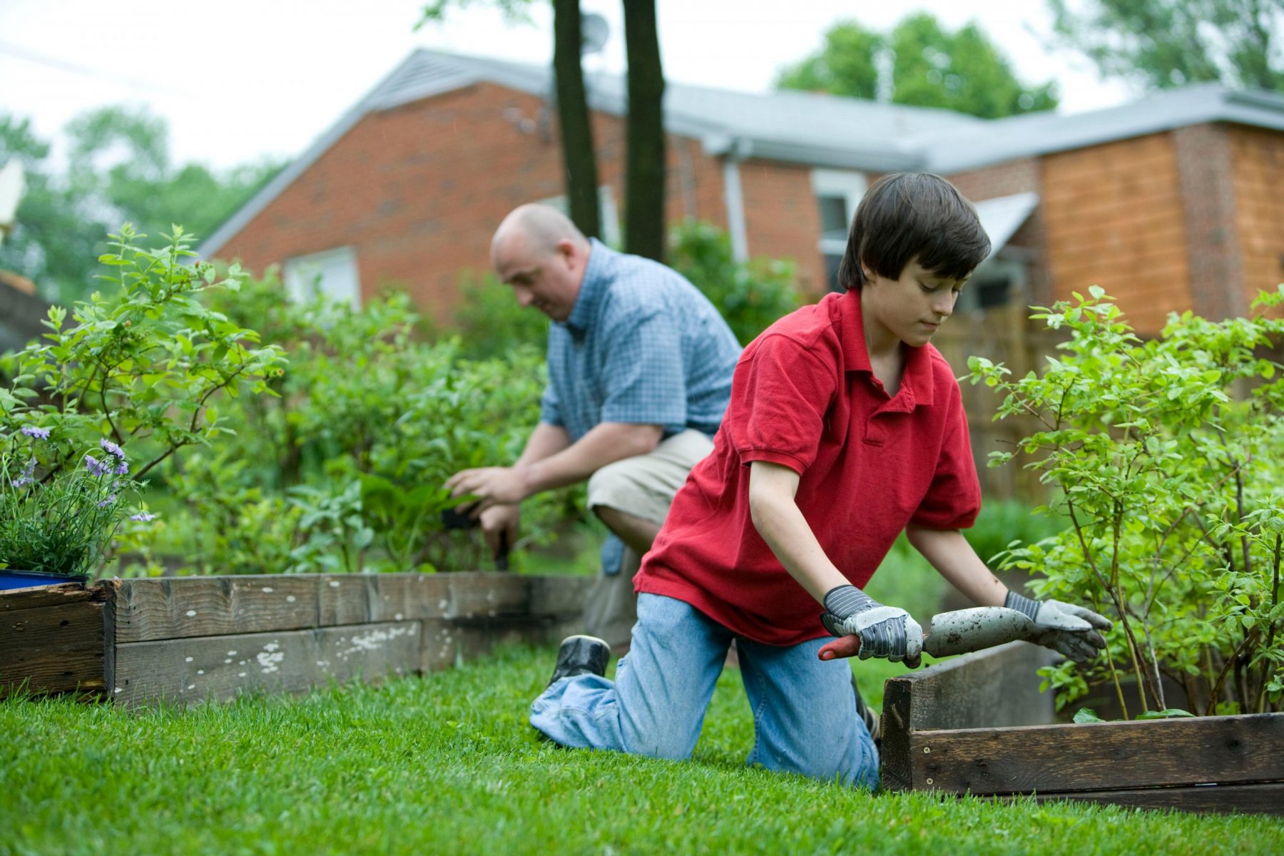 Connecting growers with green spaces