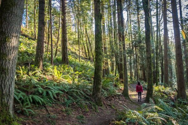 “It’s an environmental injustice that there are so many people who don’t have access to parks and green spaces.” Credit: King County Parks