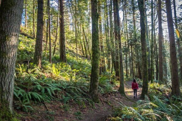 « C'est une injustice environnementale qu'il y ait tant de citoyens qui n'ont pas accès aux parcs et aux espaces verts. » Crédit photo : King County Parks