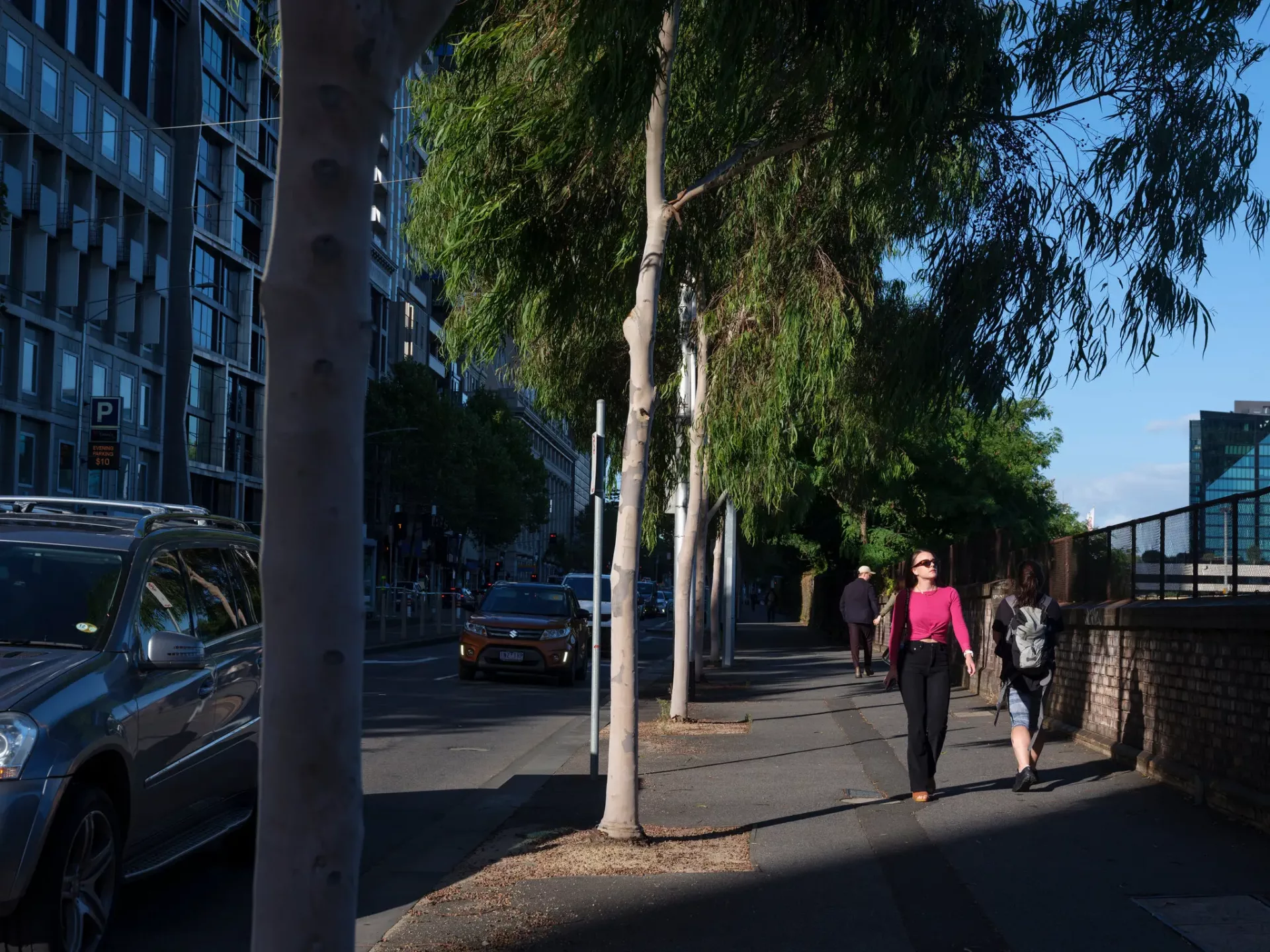 Lemon-scented gum trees were planted in 2016 along Flinders Street, on the edge of Melbourne's central business district. The native trees replaced  mature London plane trees.