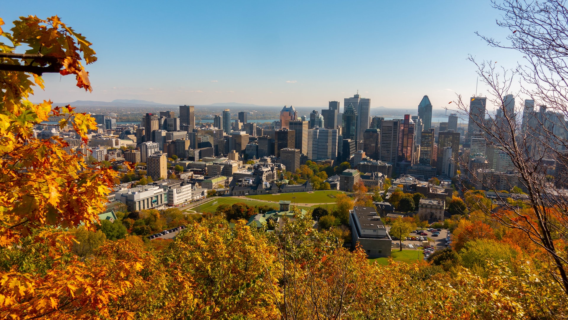 Mount Royal Park, Montréal, Canada by Rich Martello on Unsplash