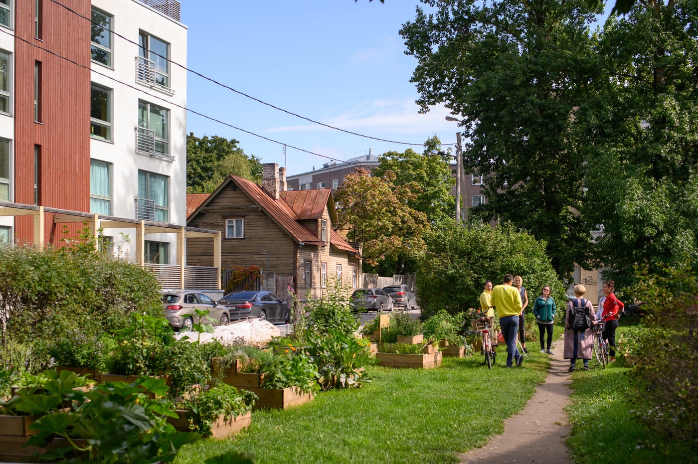 Tallinn community gardens, Artjom Kutuzov.